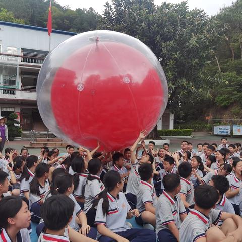 心向阳光 逐梦前行