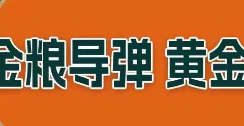 金粮导弹—金冠717 2023黄淮海新品发布会—河北临漳