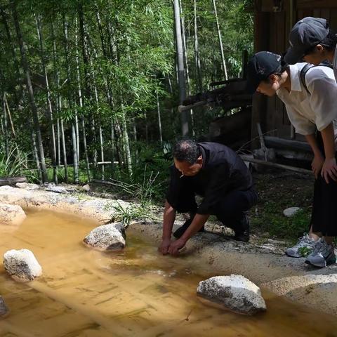 与山为伴，纸短情长