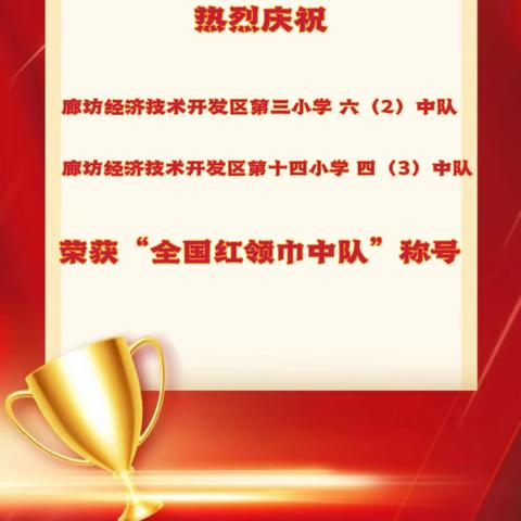 喜报！我区2个中队荣获“2023年度全国红领巾中队”