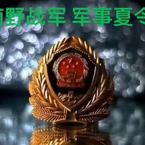 军魂磨炼意志，铁血铸就担当，养成良好习惯，成就孩子一生！——宁夏博城国防教育