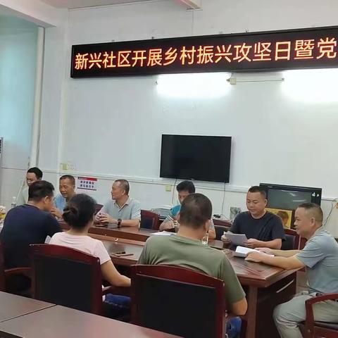 新兴召开乡村振兴攻坚日暨主题党日活动