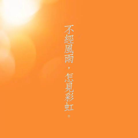 向日葵观察日记