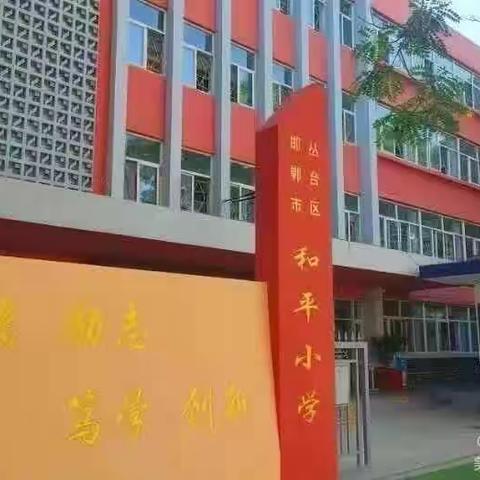 【关爱学生幸福成长】和平小学美德践行者——“最美少年”（七）