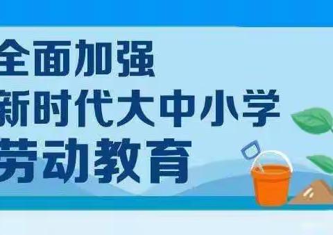 【德育创新】“生活小能手，快乐显身手”——嵩县第三实验小学“我是生活小能手”活动纪实第二十四期