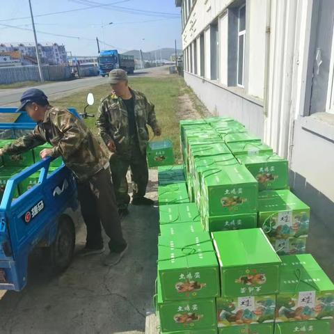 粽情端午 共享安康——根河市大林公司为金河大林公司发放端午节福利