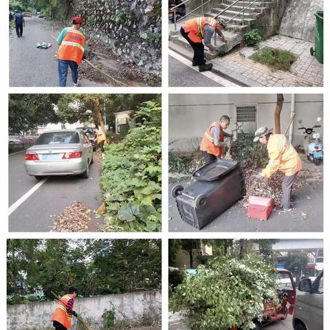 开展环境卫生整治,干干净净过“双节”