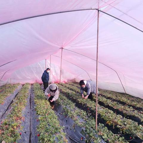 加强抽检，护航春节期间群众舌尖上的安全