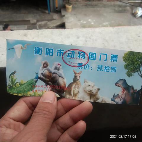 游衡阳动物园