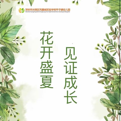 花开盛夏 见证成长