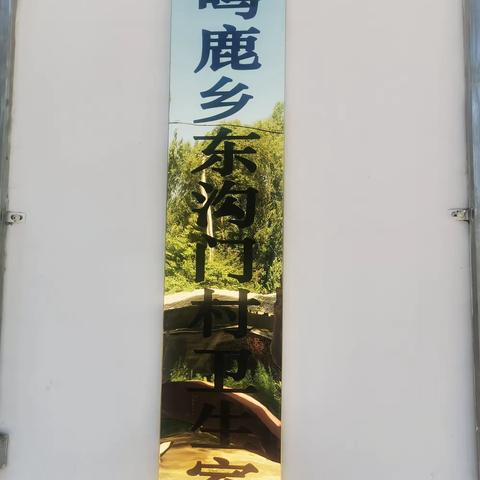 【鸣鹿乡东沟门村卫生室】国家基本公共卫生服务项目（免费）