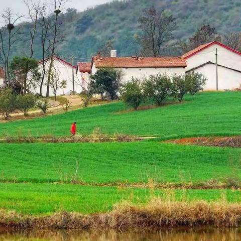 春天的田地