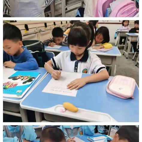 【善爱教育】心中有数，萌生智慧——记2023-2024第一学期鼎湖逸夫小学数学科素养提升系列活动