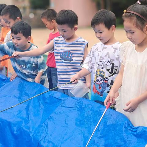 小森林兴海苑幼儿园中一班暑期生活第三周