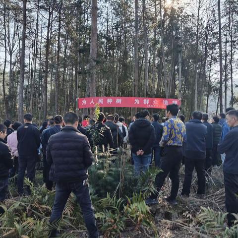 植此青绿，共建美丽家园