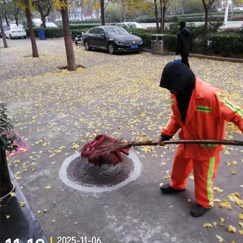 秋天落叶季 环卫工人清扫忙