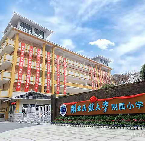 2024，我们一起研修的日子 —民大附小2024秋道德与法治 教研组工作总结