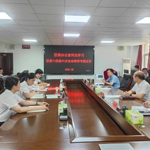 湖滨区委办公室专题传达学习区委十四届六次全会精神