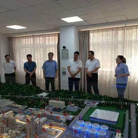 华州区人大常委会副主任赵小红调研指导大气污染治理工作