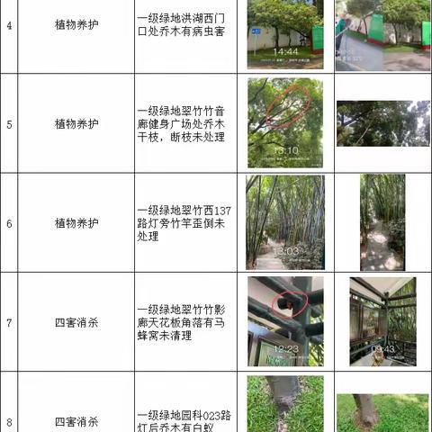 【随机检】洪湖公园-翠竹公园-园科公园7月12日随机检工作汇报