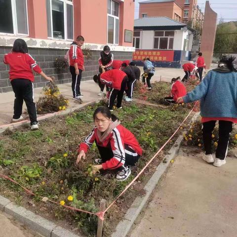 【学习贯彻习近平新时代中国特色社会主义思想主题教育】以主题教育推动劳动教育高质量发展