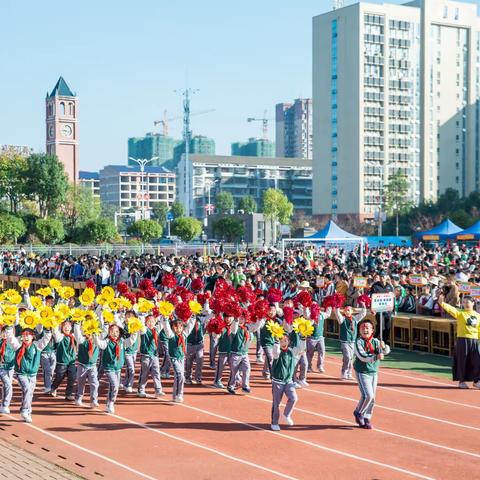 楚源小学91班三年级上期期末总结——静中求稳，静待花开