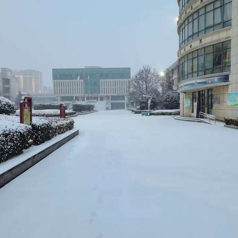 如果你要写雪，就不能只写雪