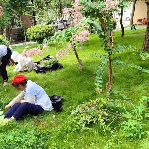 经开（汉南）区妇幼开展爱国卫生周末大扫除暨除四害活动