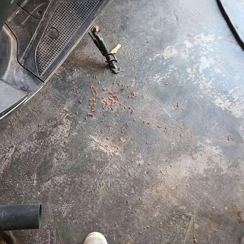 新州镇政府整改措施