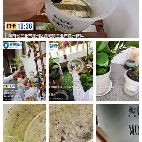 幼儿园排查发现问题