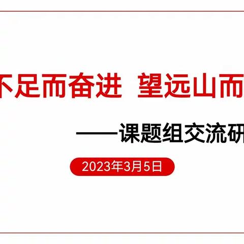 “知不足而奋进 望远山而力行”——课题组交流研讨会