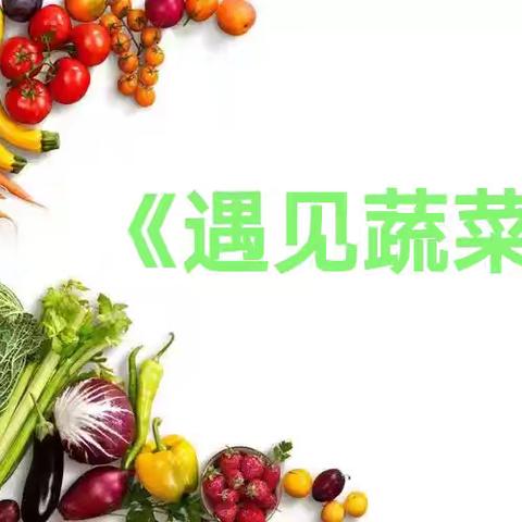 育德幼儿园中班——遇见蔬菜