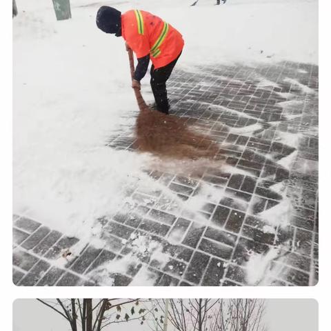 【迎战暴风雪】闻雪而动  迎雪而上