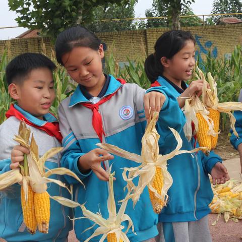 【劳动实践】第七小学“劳动基地 乐享丰收”