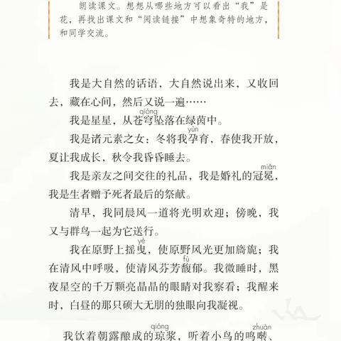 ⭐海星拾贝7：《花之歌》仿写小练笔✏️