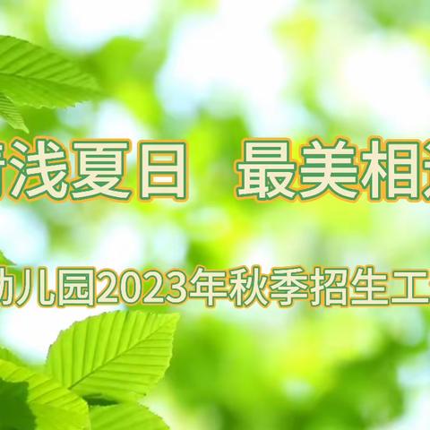 如约而至 遇见美好 --齐龙幼儿园2023年秋季招生工作纪实