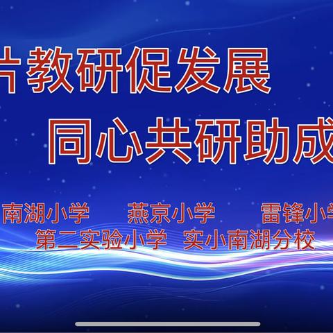 匠心雕璞玉   “诊疗”绽风采——南湖小学开展联片教研活动