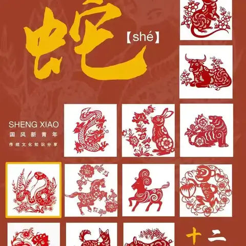 【爱祖国 成栋梁】 灵蛇舞动福满人间  寻找博物院里的蛇文化 ——五一路小学2019级01班2025年寒假“六爱”活动课程之博物馆项目学习