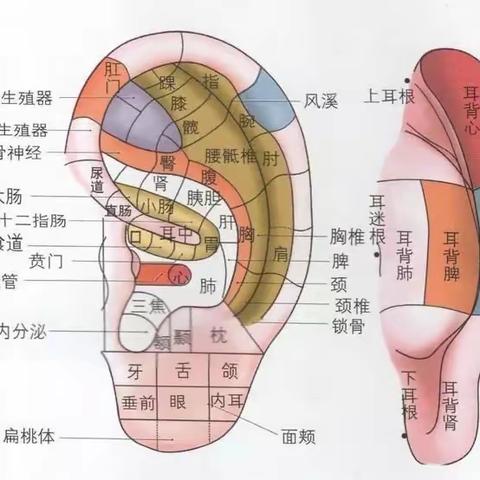 龙岗区第五人民医院 白泥坑平医社区健康服务中心