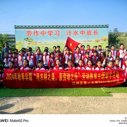 周末研学| 寻农耕之美，亲劳动之乐