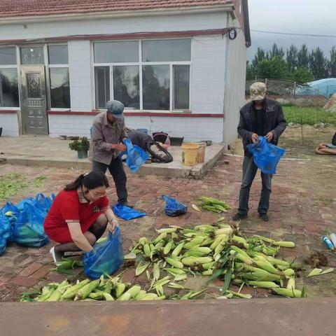 爱心帮扶暖民心    庭院经济促增收
