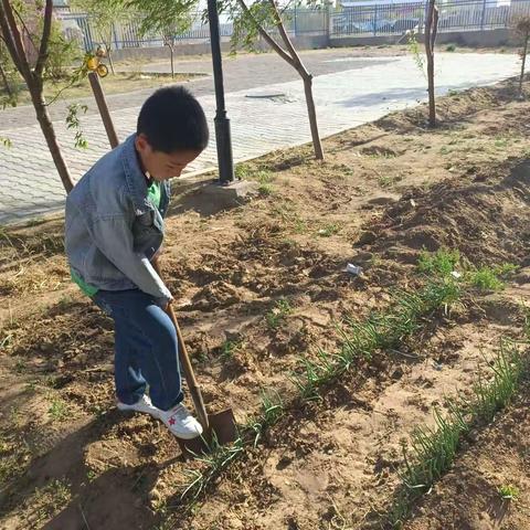 东胜区第九小学三年级三班 薛皓天