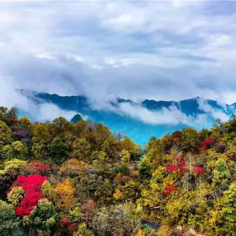 十一假期乌拉拉环秦岭自驾游