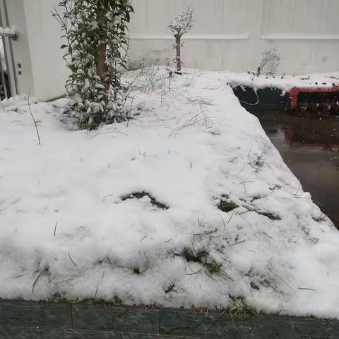 第一场雪