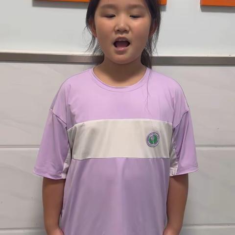 罗睿霖暑假第三周语文作业完成情况