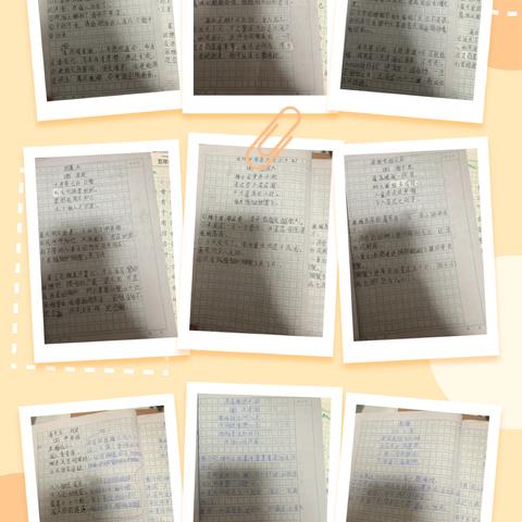 1、背诵默写古诗和零散的摘抄