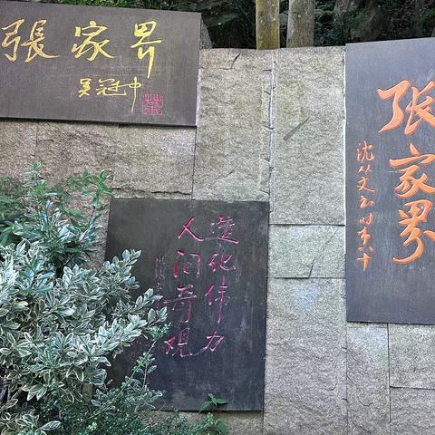 2025.8.8家界森林公园
