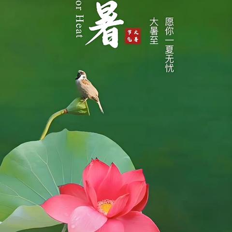 大暑:盛夏的极致浪漫—建平县第五小学四年二班综合实践活动之大暑