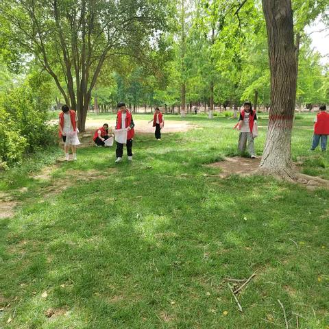 红色志愿行 环保正当时