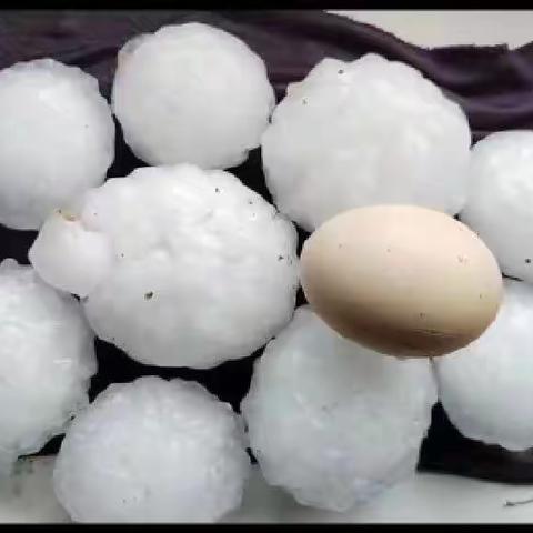 大灾特办客户为先——安华农业保险积极应对敦化7.6雹灾